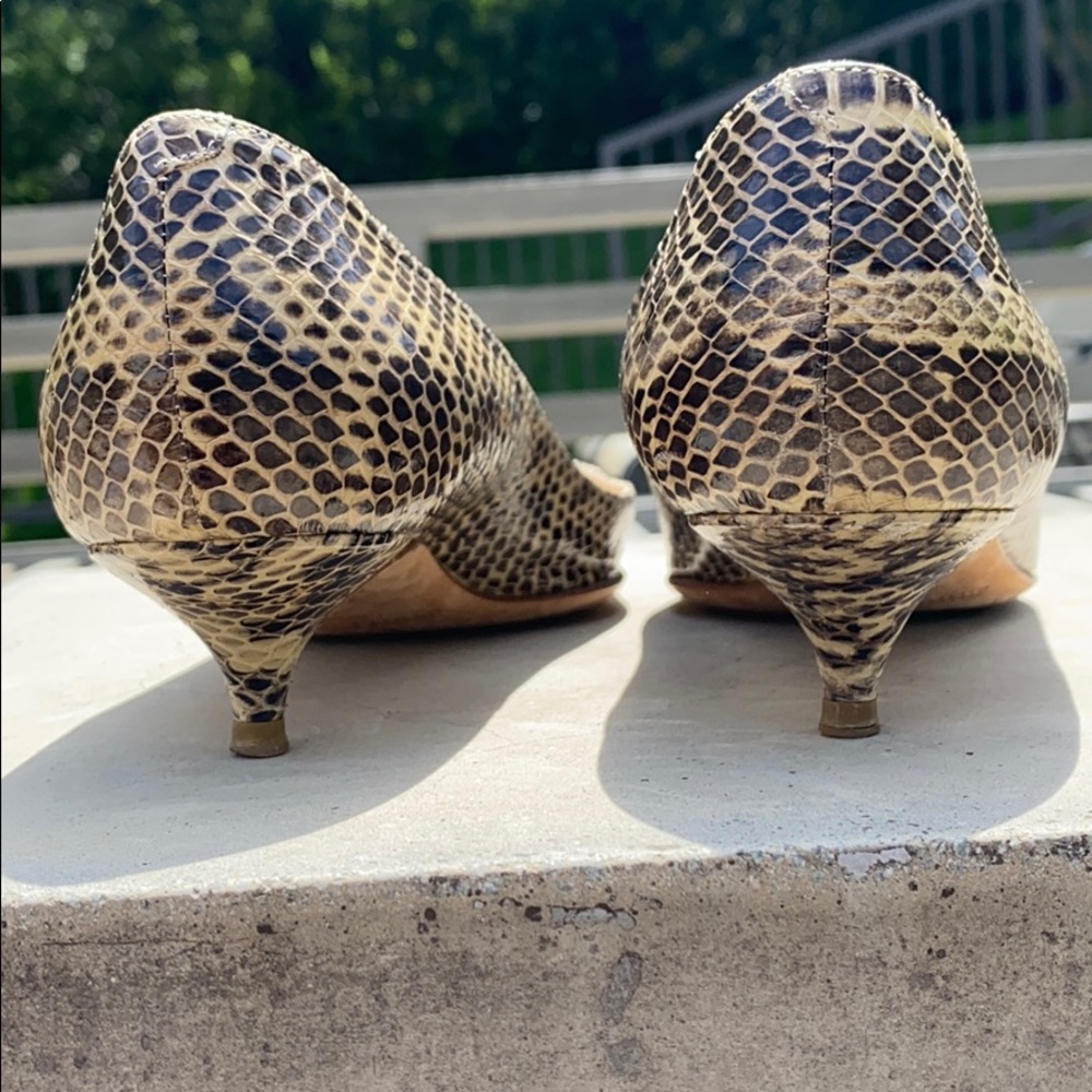 Jimmy Choo Snakeskin, Pointy Toe, Kitten Heel Pump - image 4